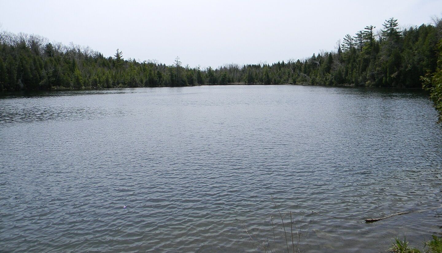 Naga Body Demands Action Against Meitei Groups for Killing of Naga Woman in Imphal East